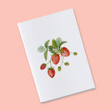 Petit carnet - Fraises