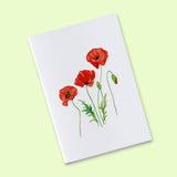 Petit carnet - Coquelicot