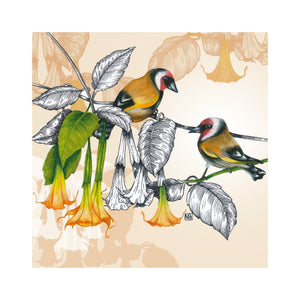 Flower Song - Goldfinch and brugmensia