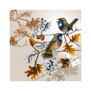 Chant Fleuri - Blue throat and oak