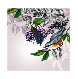 Chant Fleuri - Nuthatch and elderberry