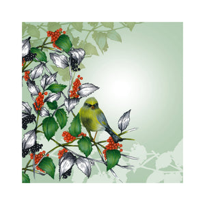 Flowery Song - Greenfinch and holly