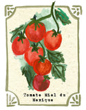 Graines en Liberté - Tomato Miel du Mexique