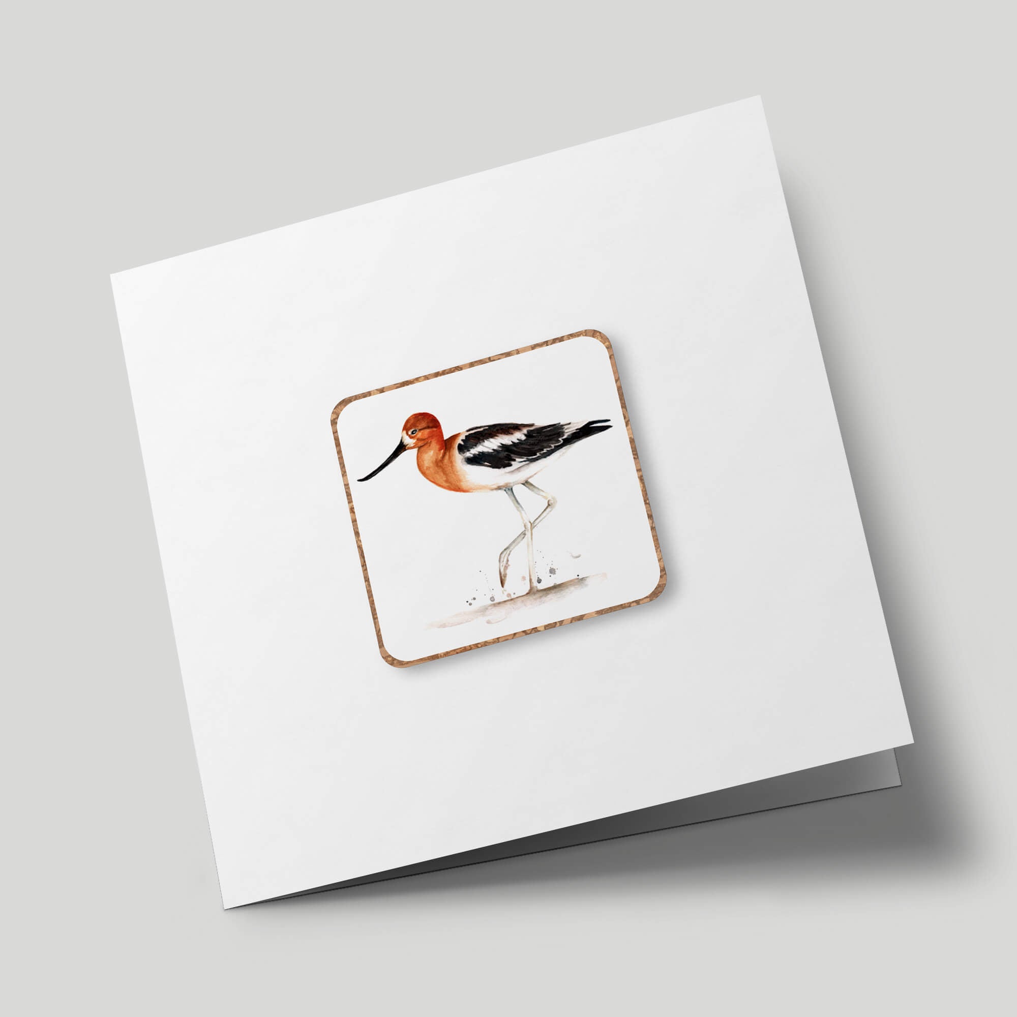 Animal Magnets - American Avocet