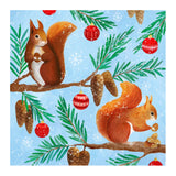 Bex's Wishes - Squirrels