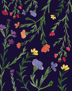 Carte à planter - Fleurs multicolores sur fond bleu foncé