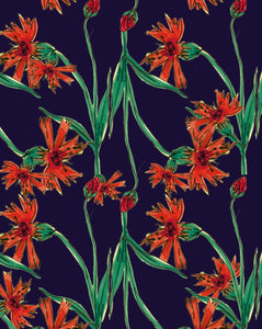 Plantable Card - Red Flowers on Dark Blue Background