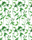 Plantable Card - Green Foliage