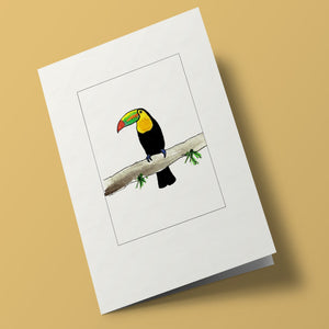 Papersheep - toucan on branch