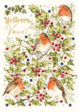 Country Christmas - robin and holly, on white background