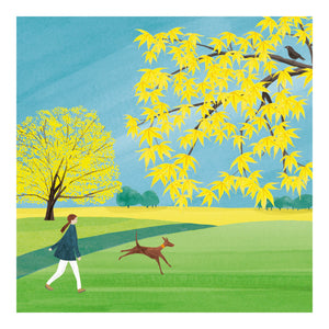 Richmond Park - dog walker and yellow leaves