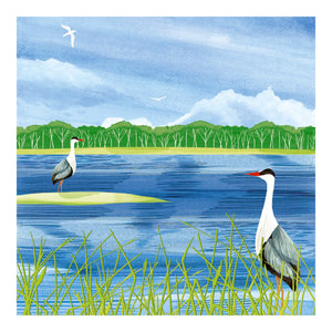 Richmond Park - herons at the lake